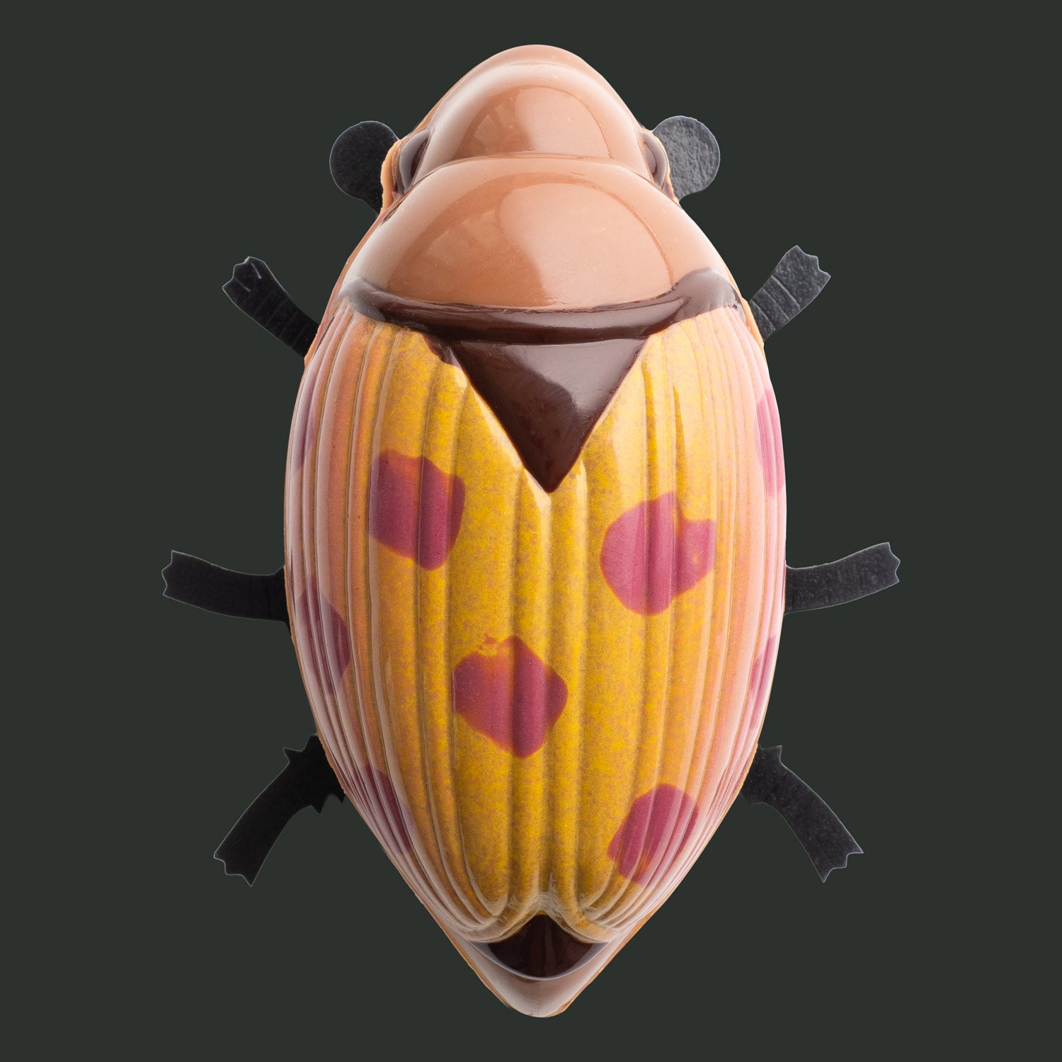 Maikäfer Big "yellow-pink"